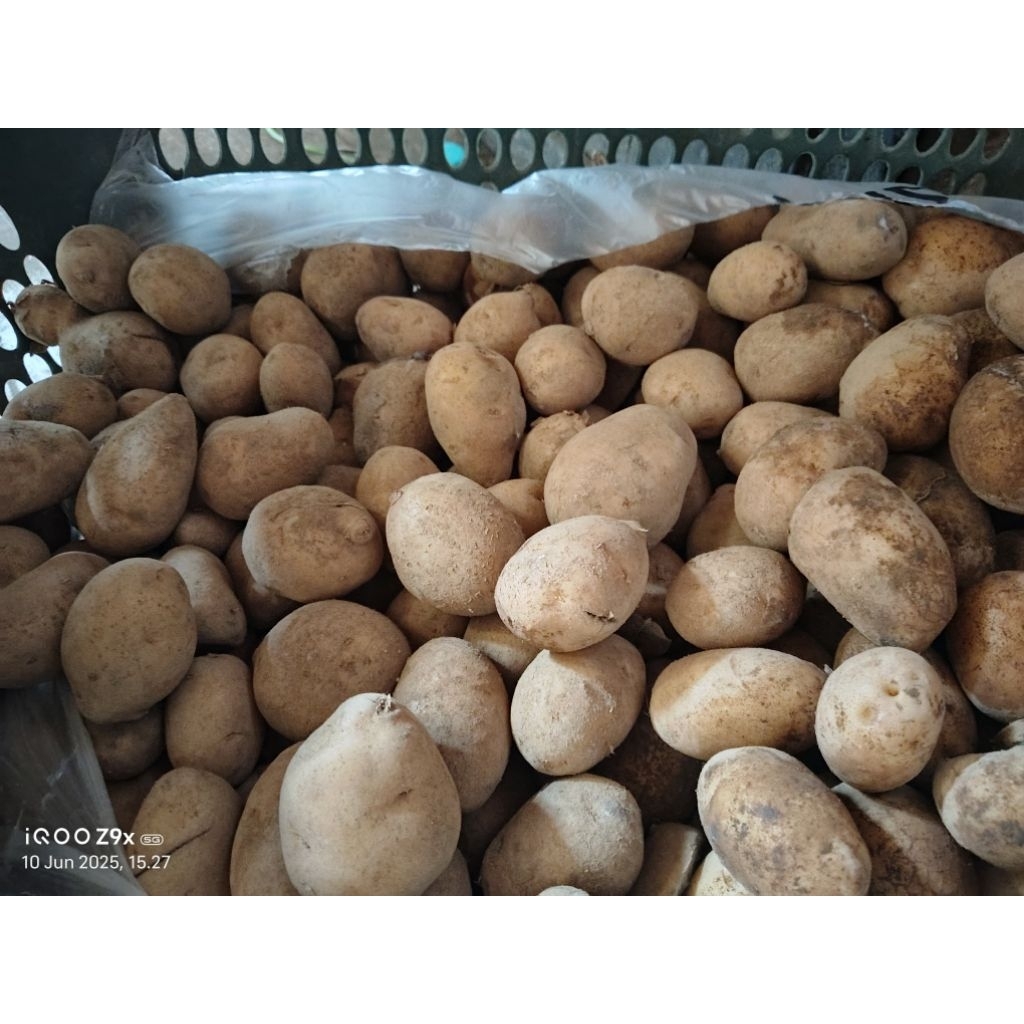 

Kentang Daerah sedang 1KG