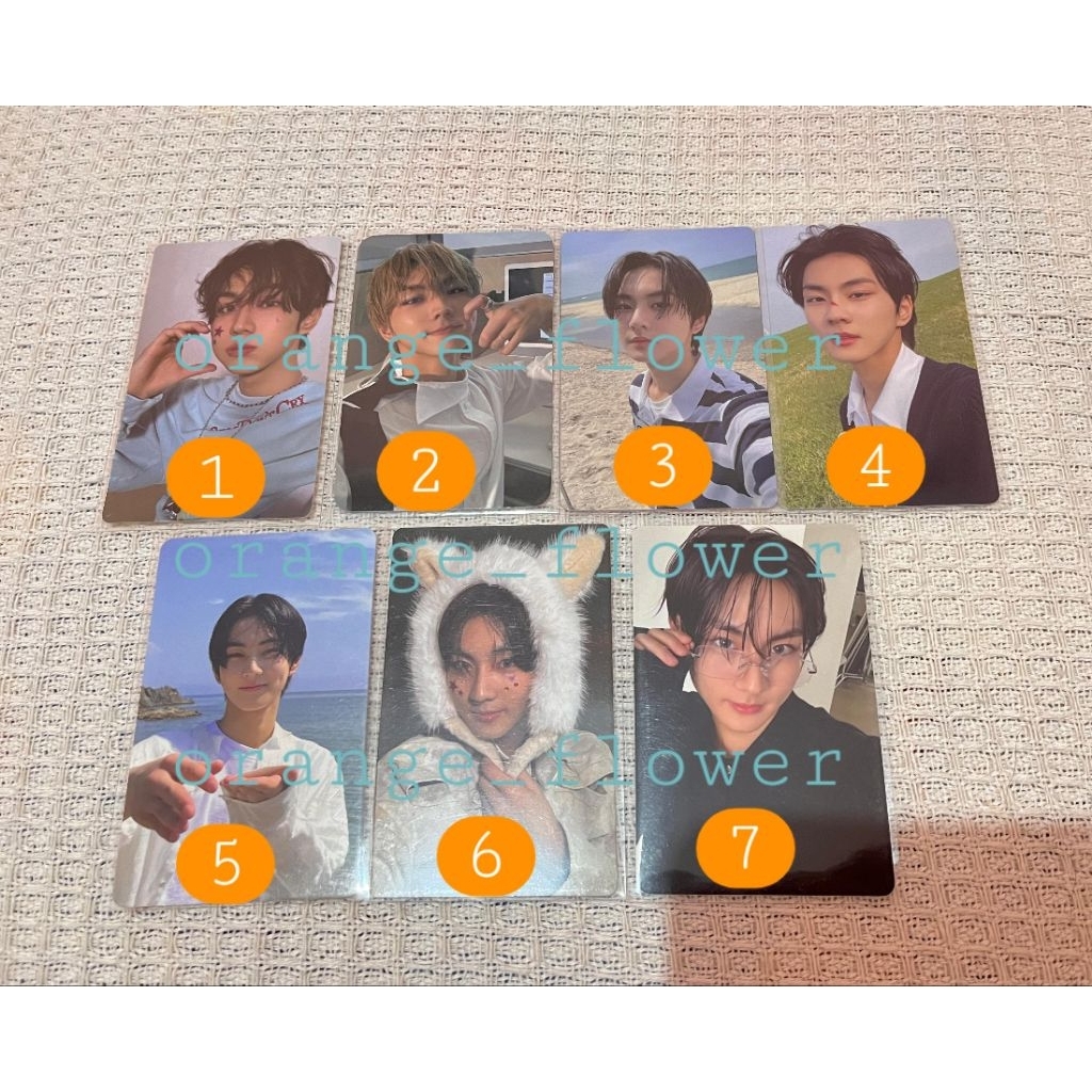 jungwon olive young oyoung romance untold daydream ru dd sepoi weverse wv r2 album odysseus hologram