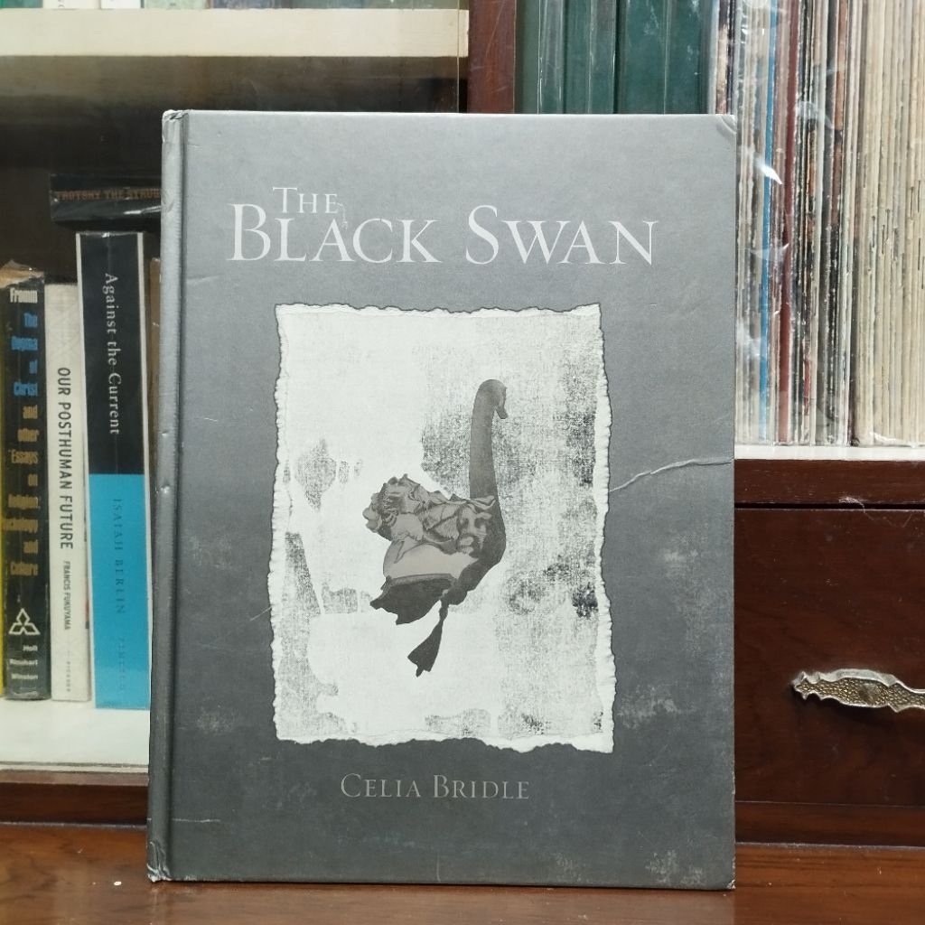 The Black Swan - Celia Bridle