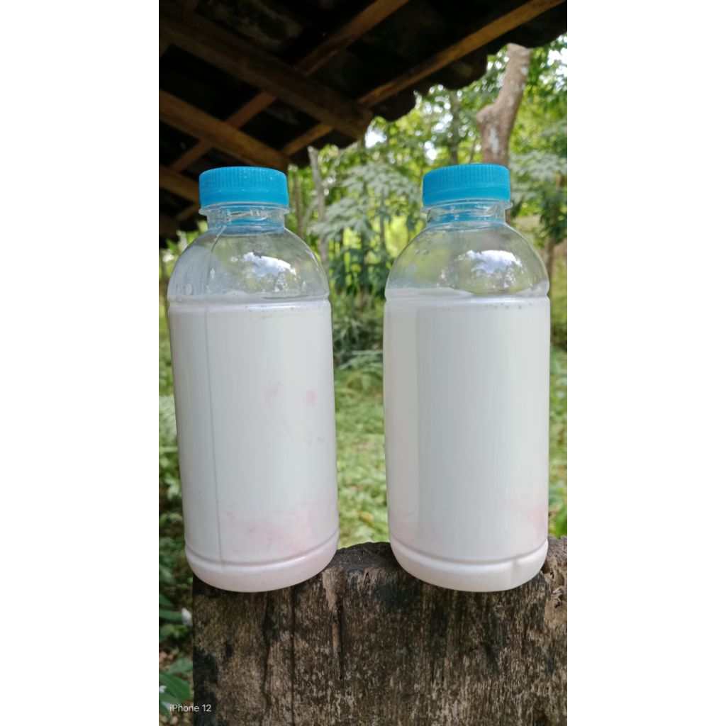 Getah Karet Cair isi 300ml/Lem pulut burung / Perekat Busa kasur