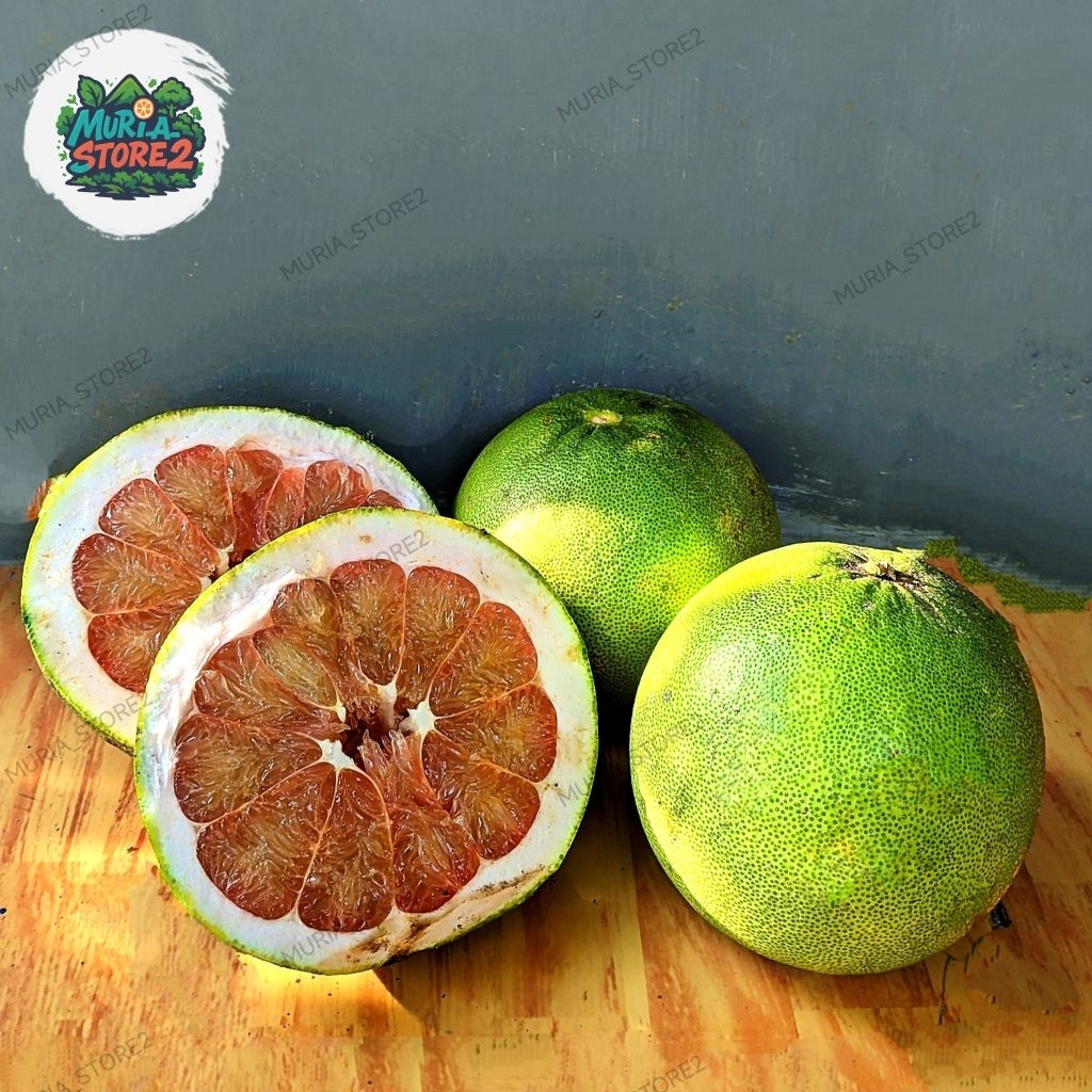 

Paket Hemat 2 Jeruk Pamelo Madu Muria berat 1kg-1,3kg