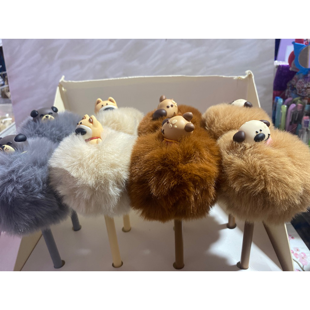 

pen pompom