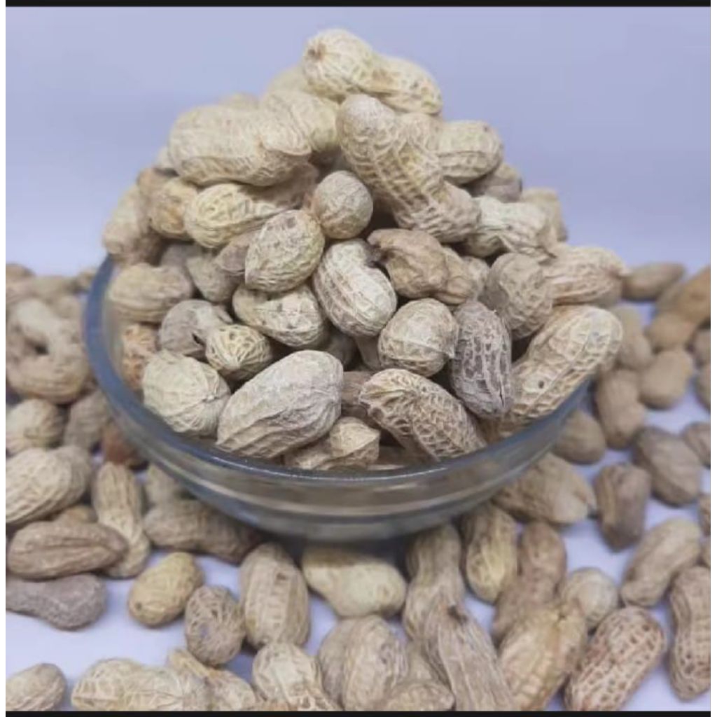 

Kacang Kulit Sanggrai, Premium Kacang Kulit Asin ukuran 500 gram