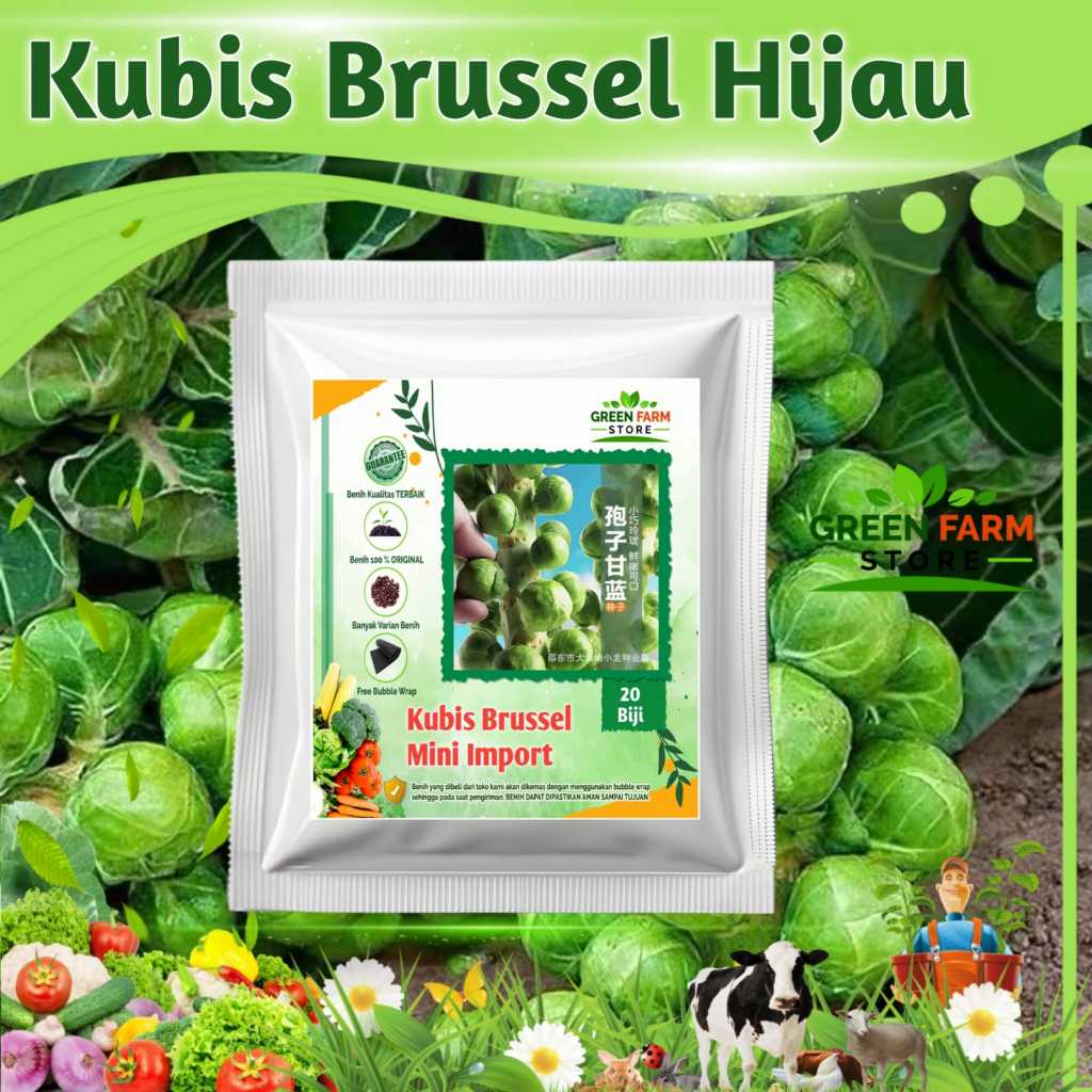 Benih Kubis Mini Brussel Hijau Import (20 biji)