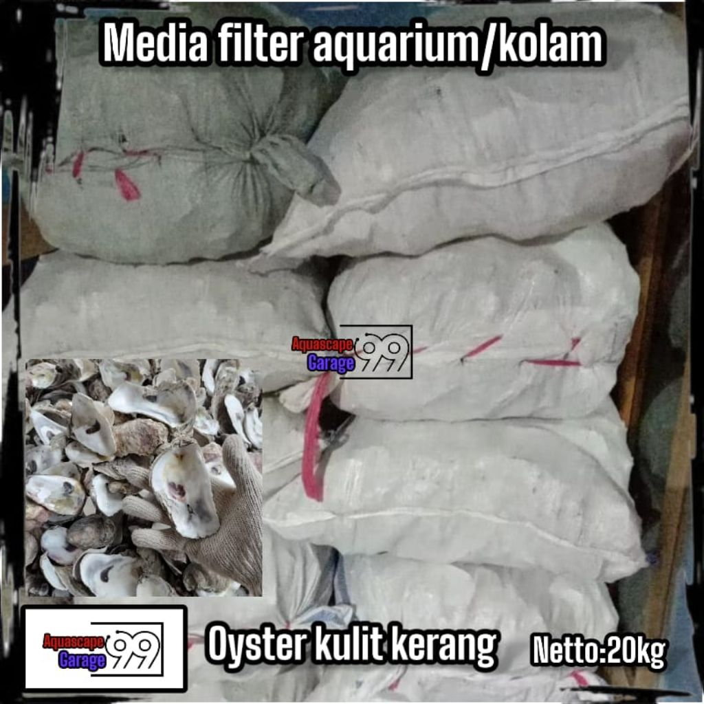 Oyster karungan 20 kg / media filter koi / media filter /media filter kolam ikan / filter kolam ikan