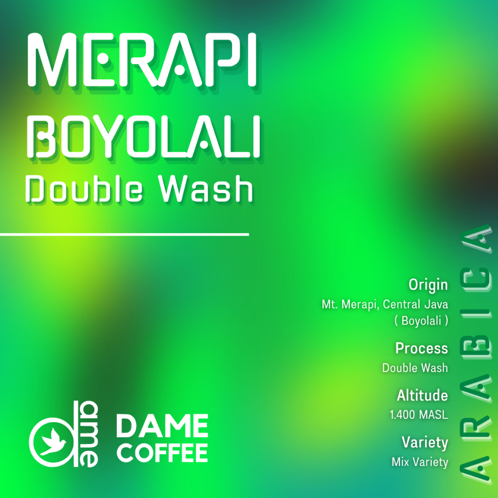 

Merapi Double Wash Arabika Greenbean Kopi Mentah Dame Coffee