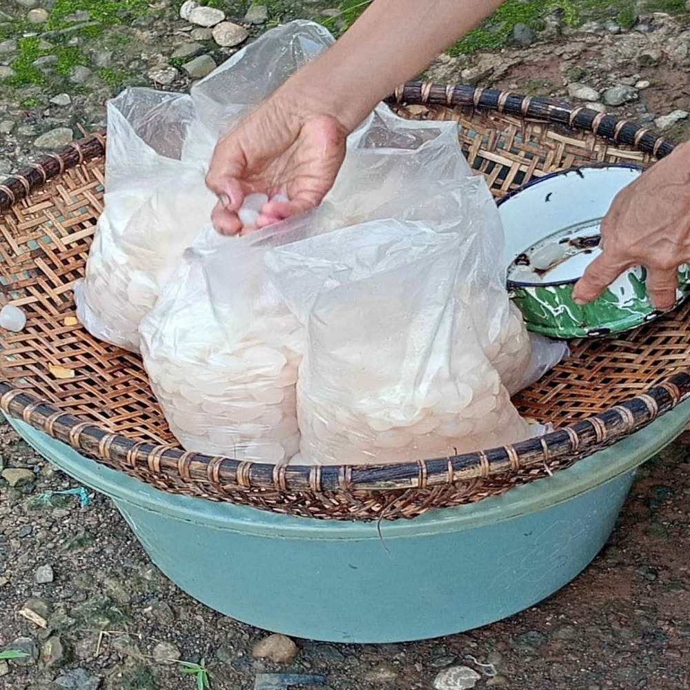 

KOLANG KALING MUDA FRESH 1 KG