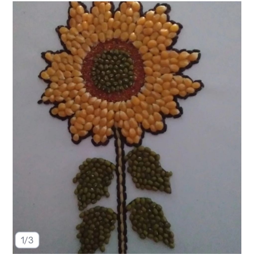 prakarya sekolah dari biji bijian/Kolase dari biji bijian gambar bunga matahari
