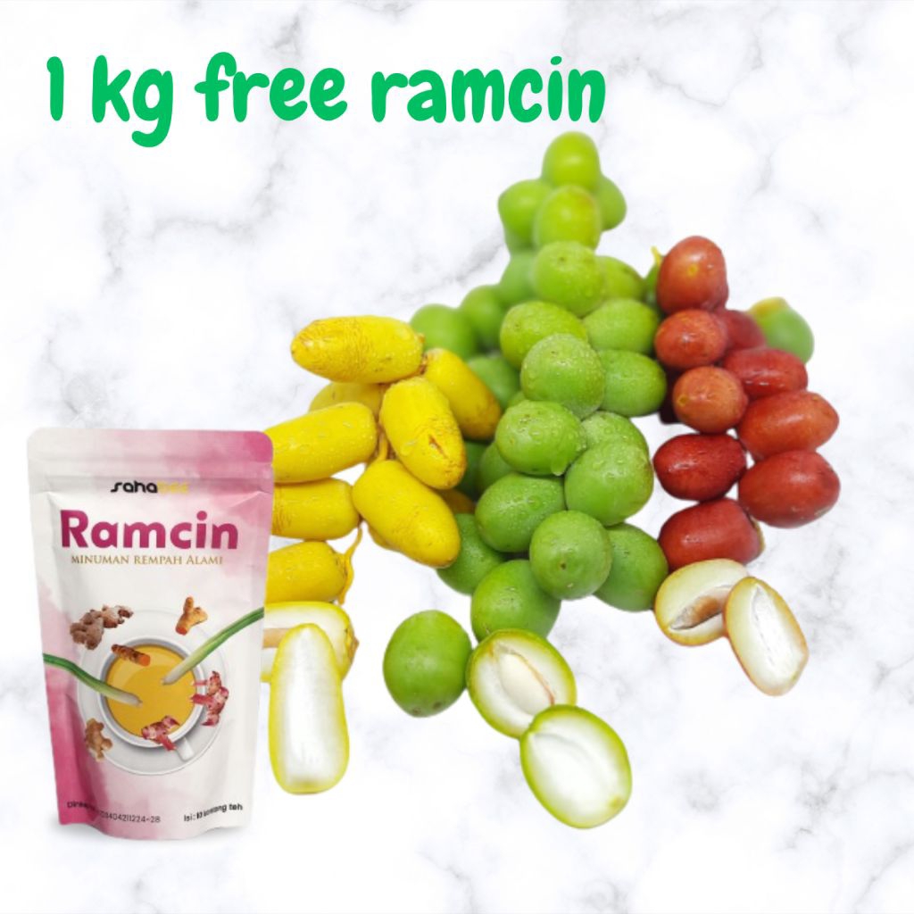 

READY Kurma muda promil fresh free test pack ruthob/kurma muda merah kuning hijau