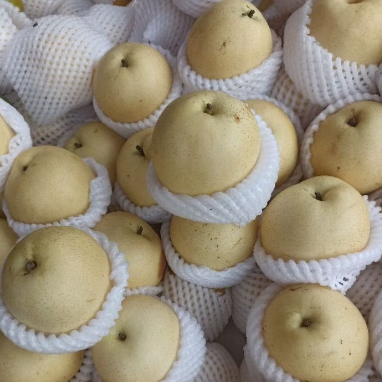 

INSTAN KOTA JAMBI Buah Pir / Pear 500gr