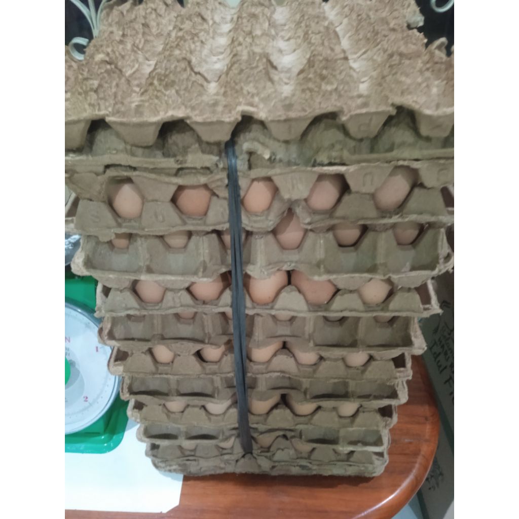 

telur ayam @1kg