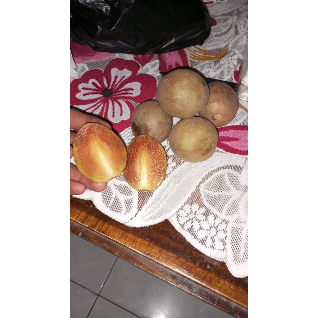 

buah sawo/sapodilla madu premium 1kg