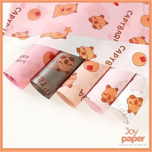 

Kertas buket bunga Plain Soft Pastel Kertas Cellophane motif capybara KB83