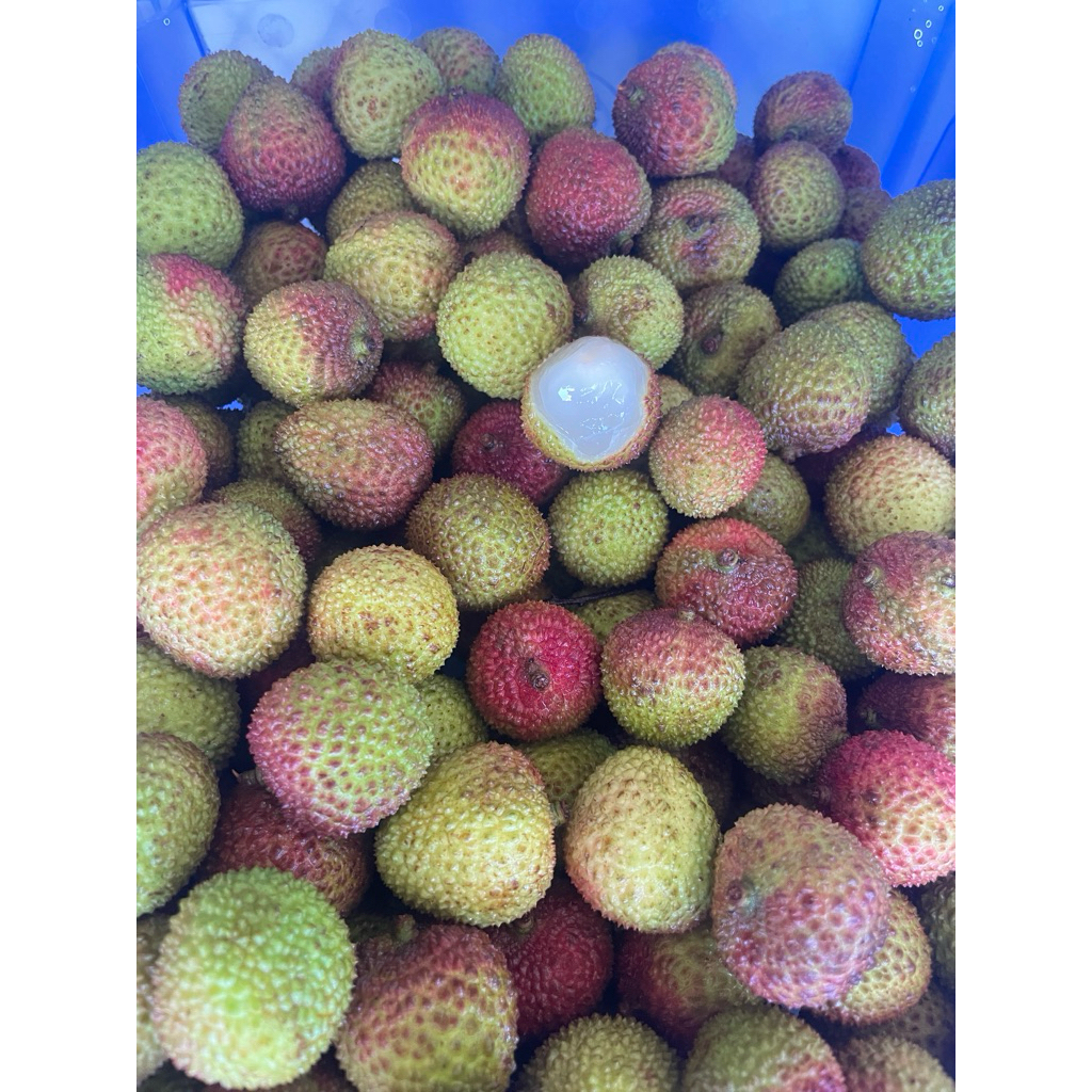 

leci buah premium lychee madu/ lyche merah
