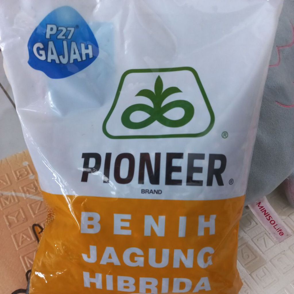 Benih jagung pioneer p27 Gajah