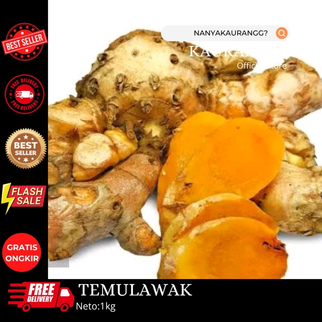 

TEMULAWAK BIANG EMPU TEMULAWAK ORGANIK SEGAR FRESH