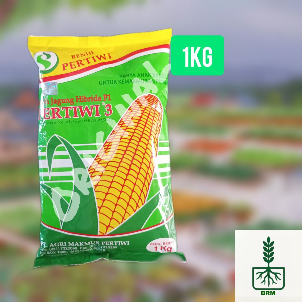 Bibit Jagung Hibrida PERTIWI 3  1kg