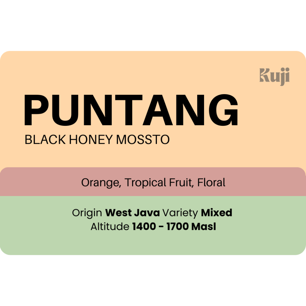 

Biji Kopi Arabika Puntang | Single Origin | 200 Gram