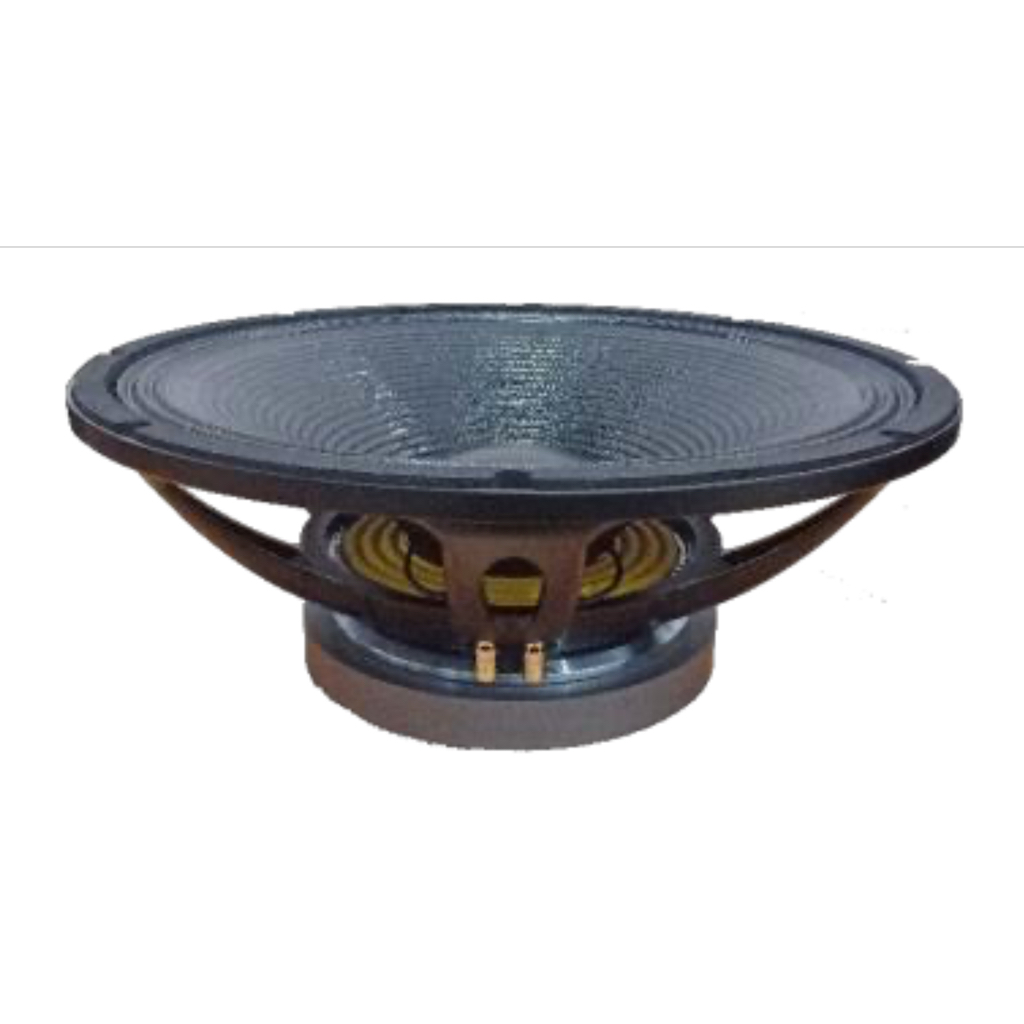 Speaker Wisdom W450 20C / W450-20C / W 450-20C - ORIGINAL