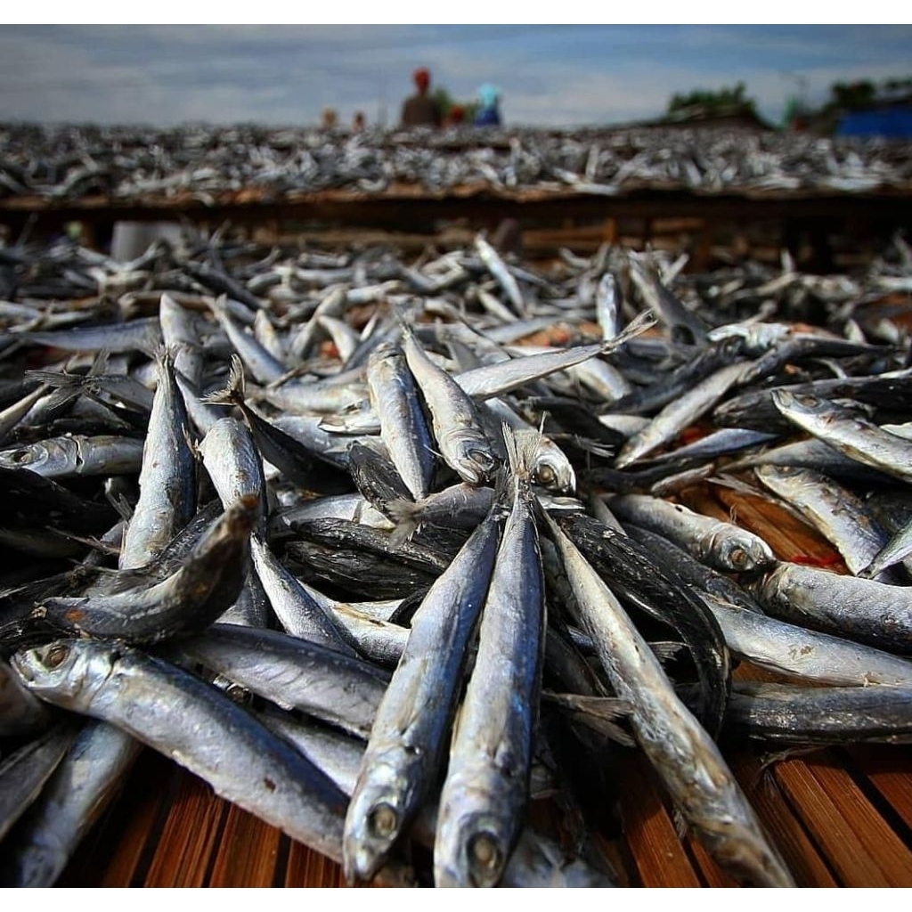 

Ikan asin LAYANG || 500 gram