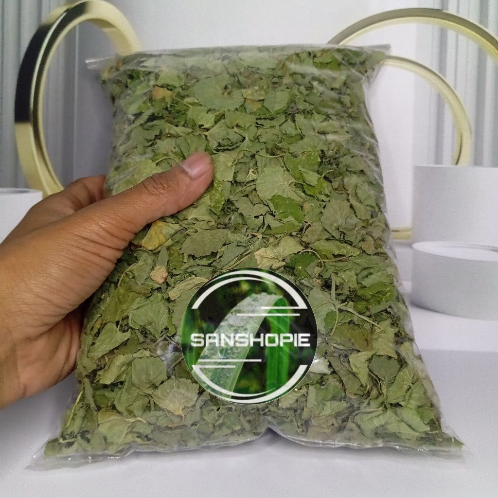 

Daun Pegagan Kering 100 gram TANPA BATANG
