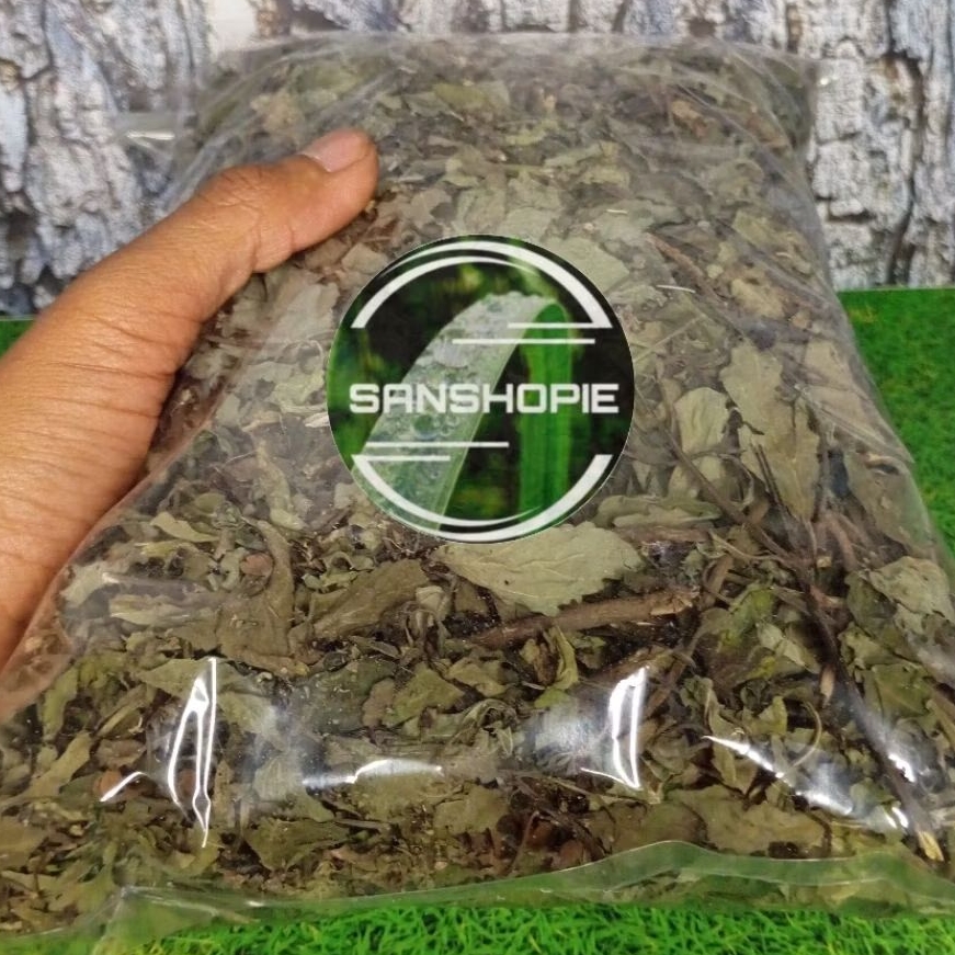 

Daun kumis kucing kering 50 gram Organik