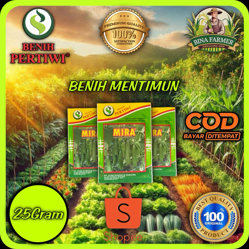BENIH BIBIT TIMUN MIRA Isi Kemasan 25Gram BY PERTIWI