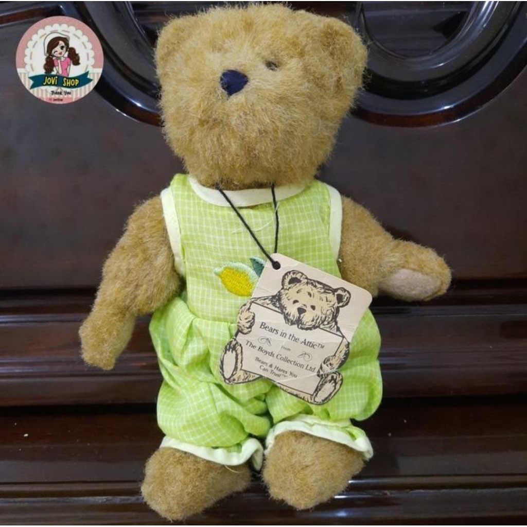 boneka artikulasi teddy bear rare the boyds cute green costume 1988-2003
