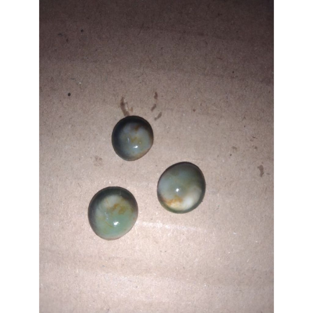 hasil alam 3 mutiara laut