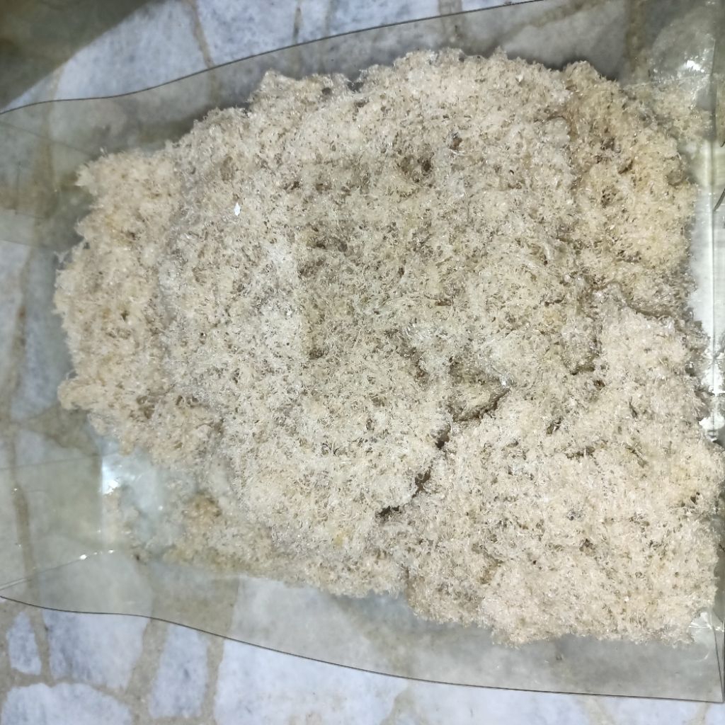 

Sarang Burung Walet Yenwo - Hancuran 20 Gram