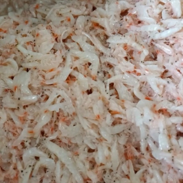 

cencalok udang