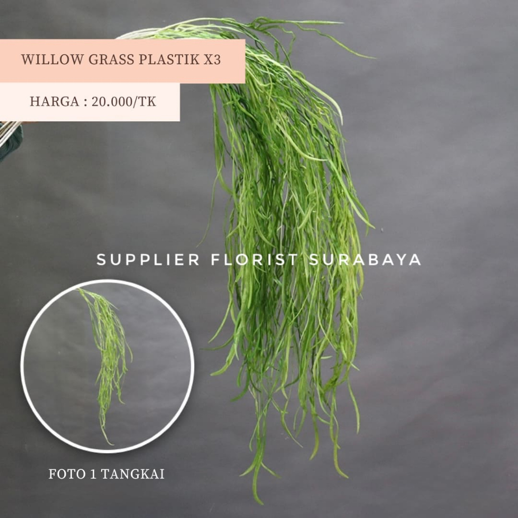 [WILLOW GRASS X3] DAUN WILLOW PANJANG MENJUNTAI TINGGI 100-120CM MOSS WILD GRASS RUSTIC DECORATION D