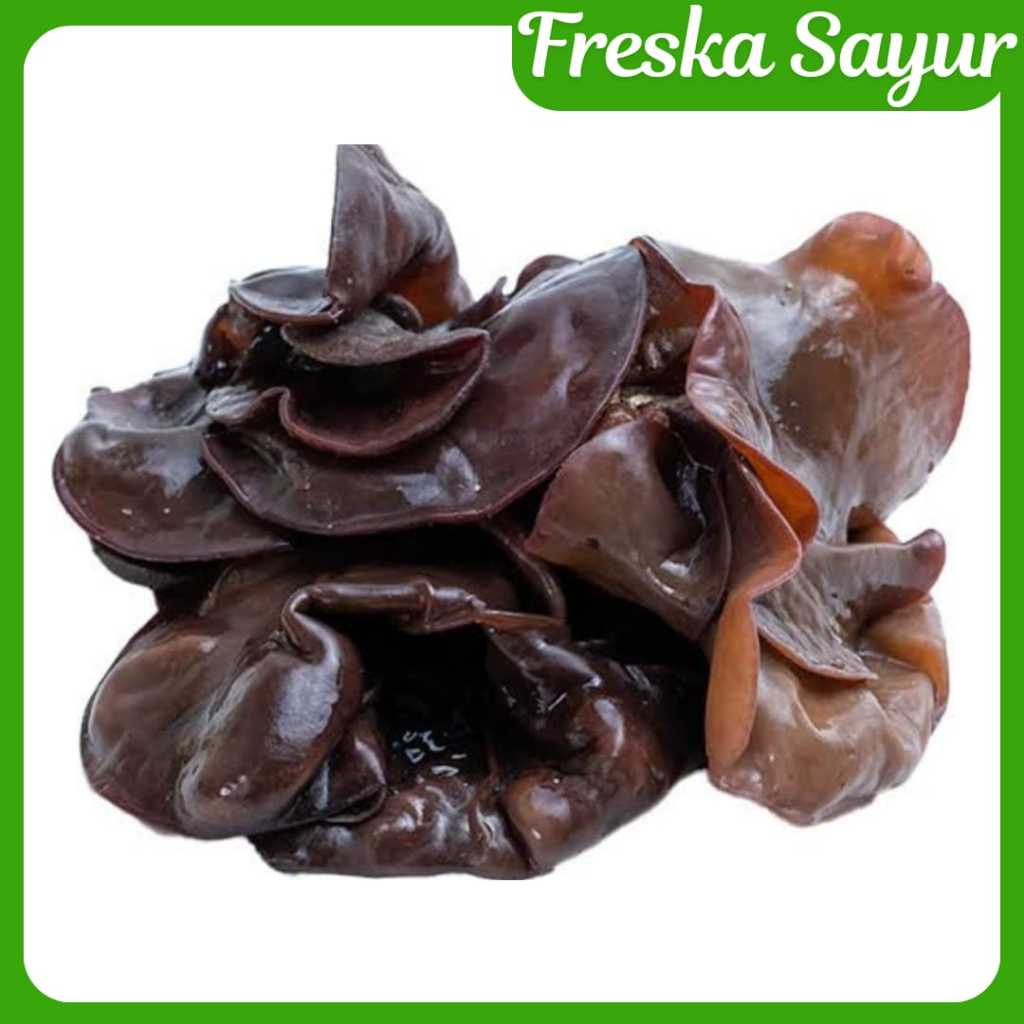 

Jamur Kuping Segar 1 Pack I Tekstur Kenyal, Cocok Untuk Sup, Tumisan & Olahan Sehat