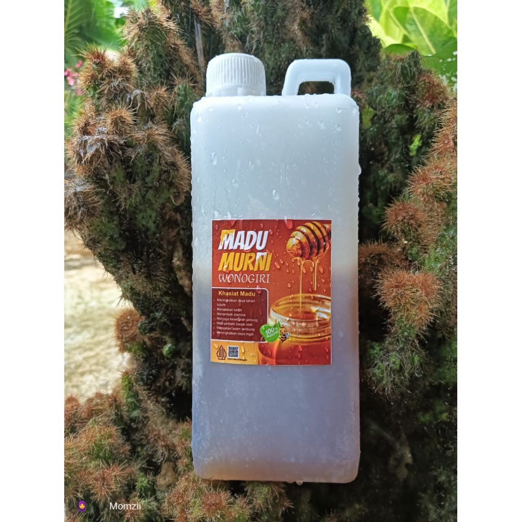 

MADU MURNI asli Wonogiri