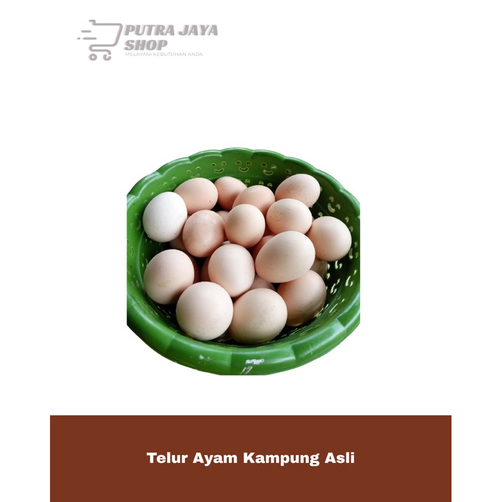 

Telur Ayam Kampung Asli dan Fresh