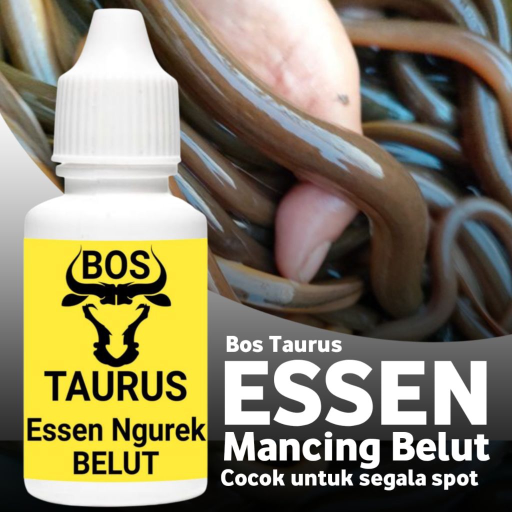 Essen Ngurek belut rawa bos taurus