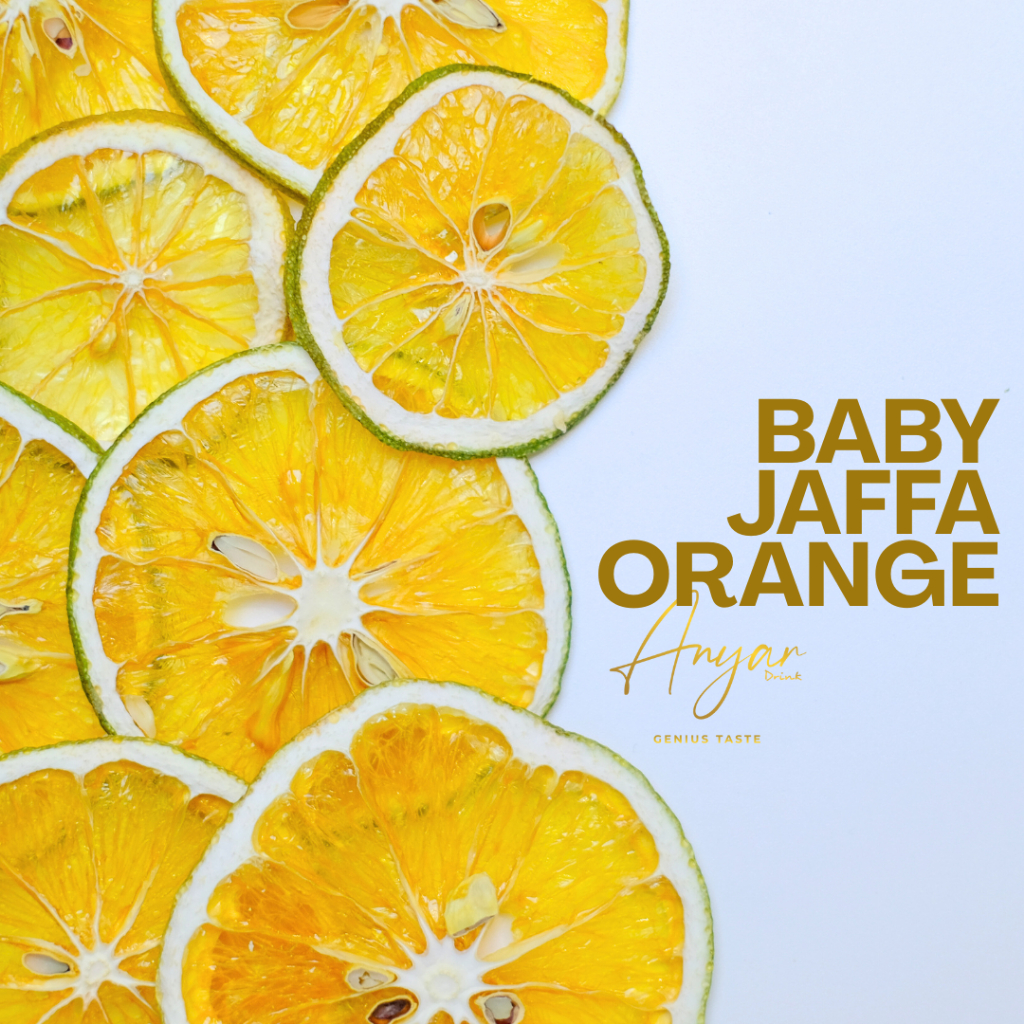 

Anyar Drink - Dried Fruit Premium 50gram - Orange Slice Premium - Jeruk Iris Kering - Buah Kering Slice - Baby Jaffa Orange