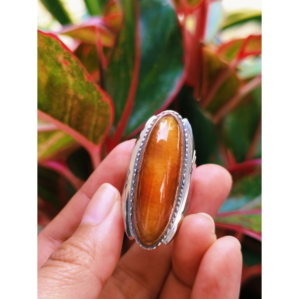 BATU PANDAN BABON NASMUT /  LUMUT | PANDAN JUMBO NATURAL