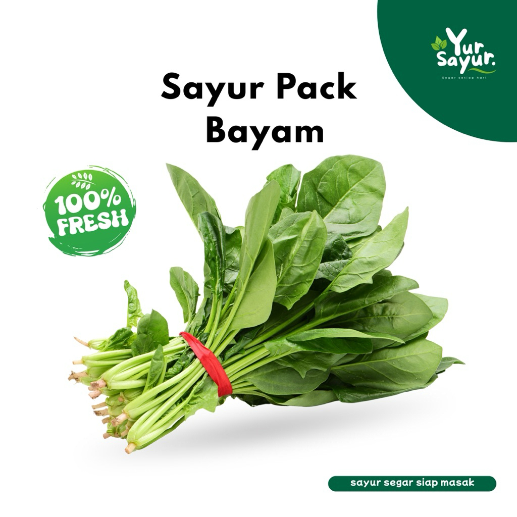 

YUR SAUR - 1 IKAT Bayam Segar Premium Sayur Sehat Kaya Zat Besi