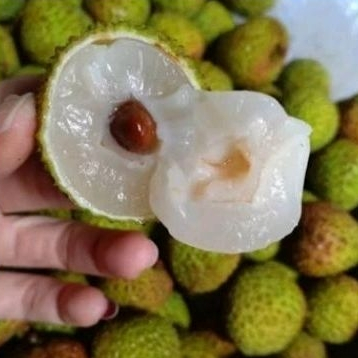 

Buah Leci Madu Hijau Manis 500 gram