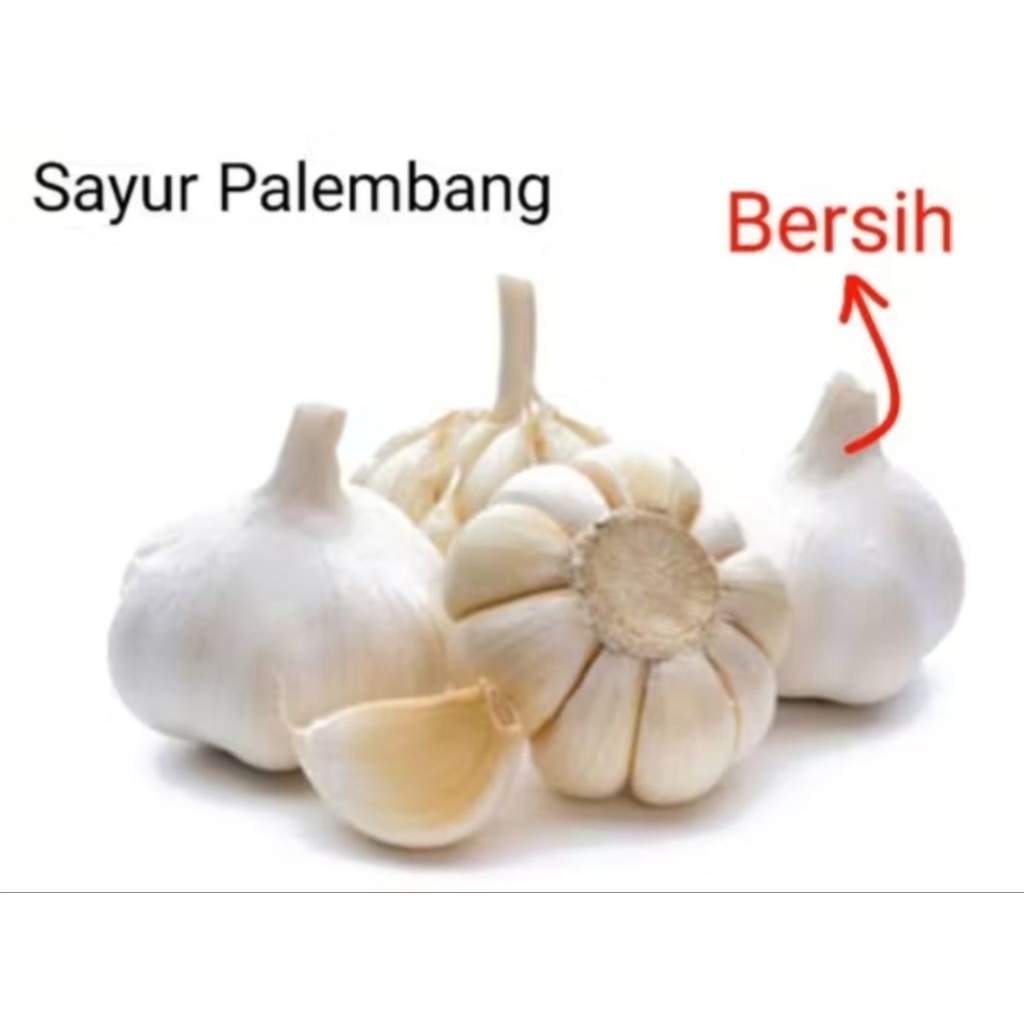 

BAWANG PUTIH - Palembang
