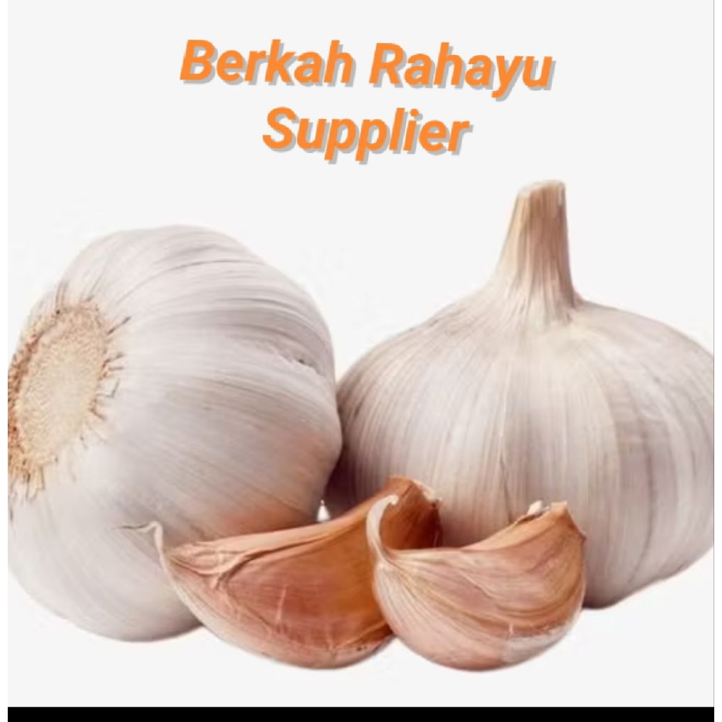 

Bawang Putih Kulit super Pilihan terbaik