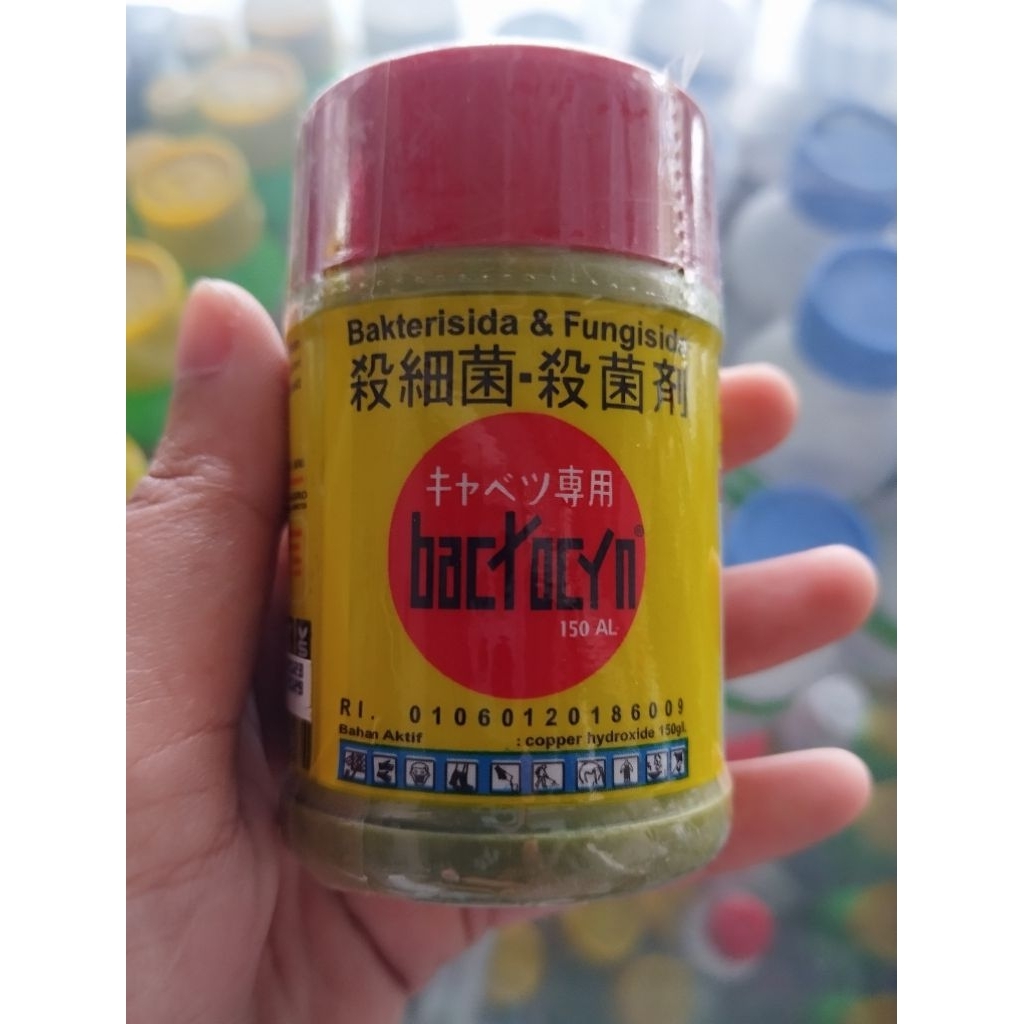 BACTOCYN 100ML/BAKTERISIDA FUNGISIDA