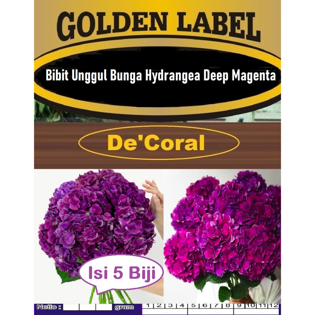 Bibit Unggul Bunga Hydrangea Deep Magenta | Biji Benih Bunga Hydrangea Deep Magenta