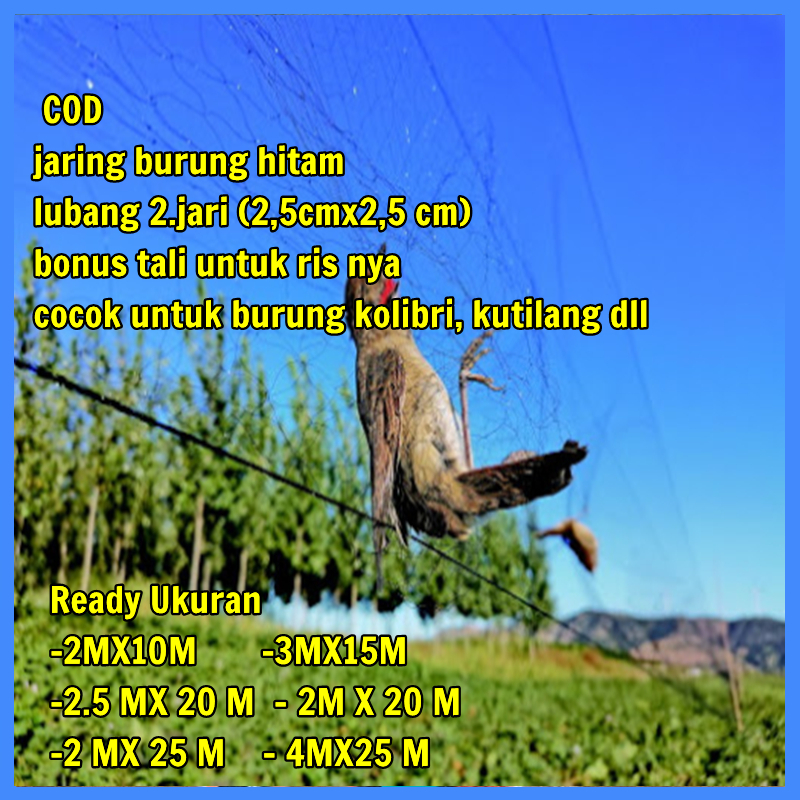 JARING PERKUTUT JALA BURUNG PERKUTUT SIAP PAKAI JARING BURUNG HITAM