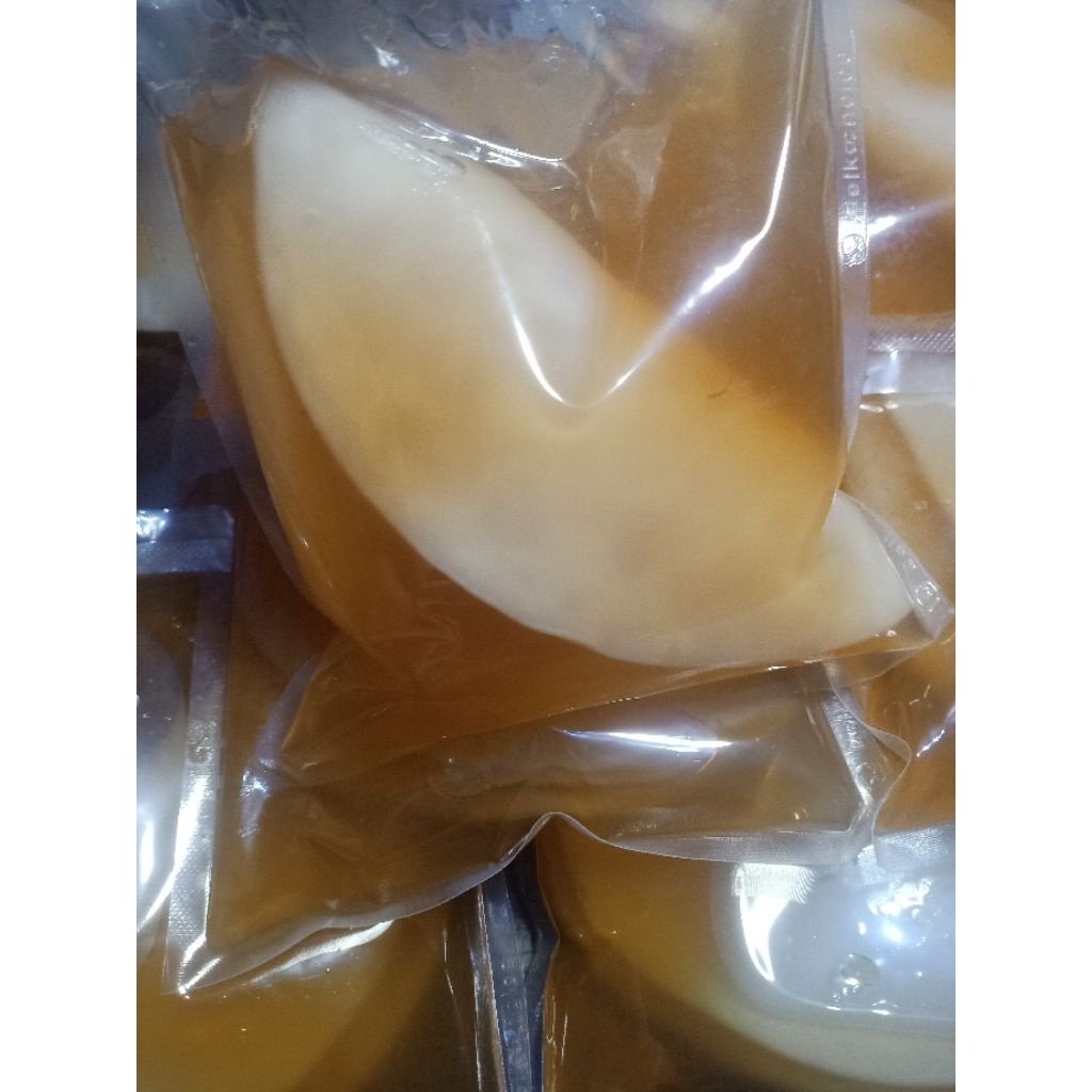 

Scoby Kombucha Original Premium termasuk Starter (diameter 15)