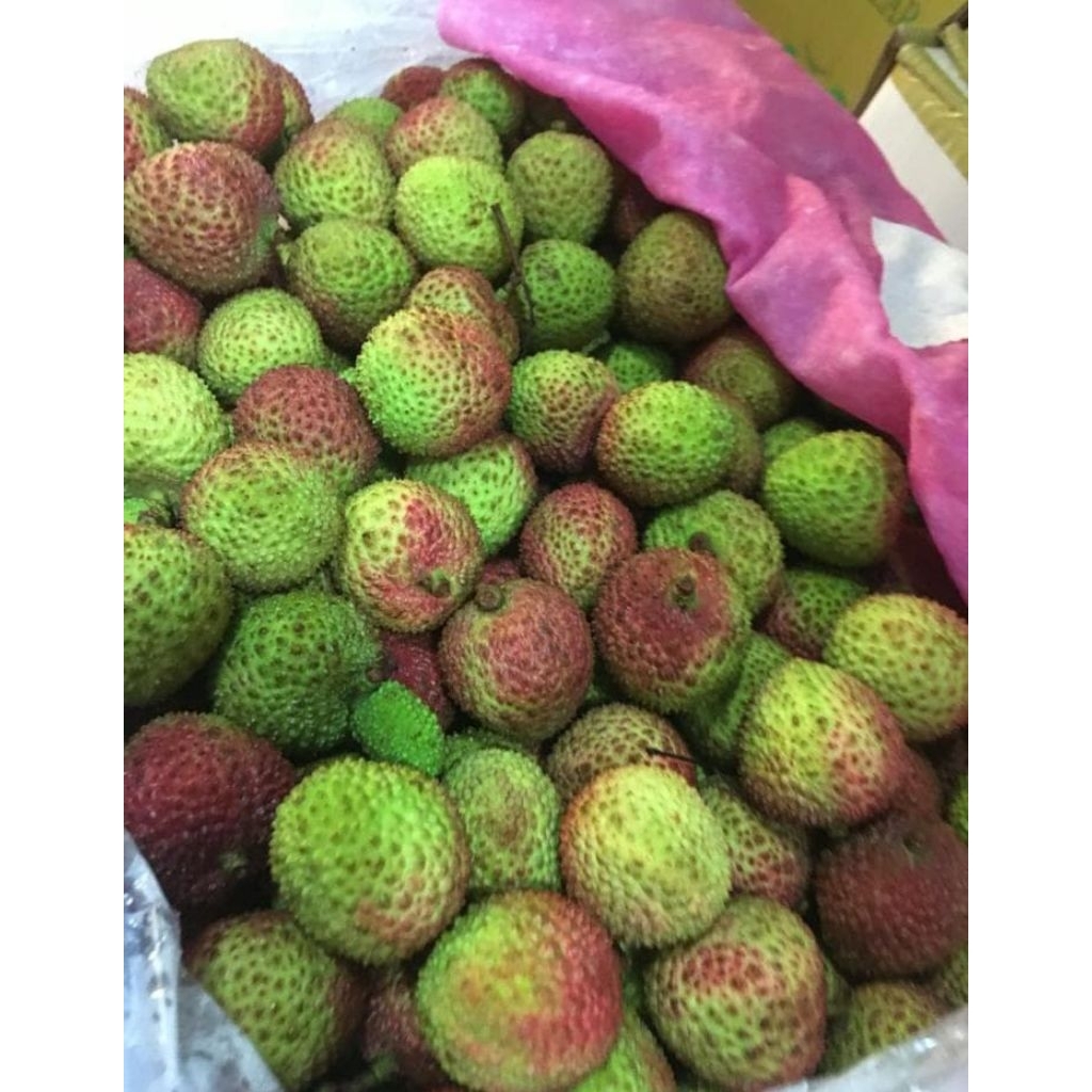 

Leci Hijau Madu manis