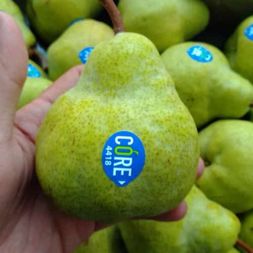 

Pir packam/Pir hijau/Pir madu