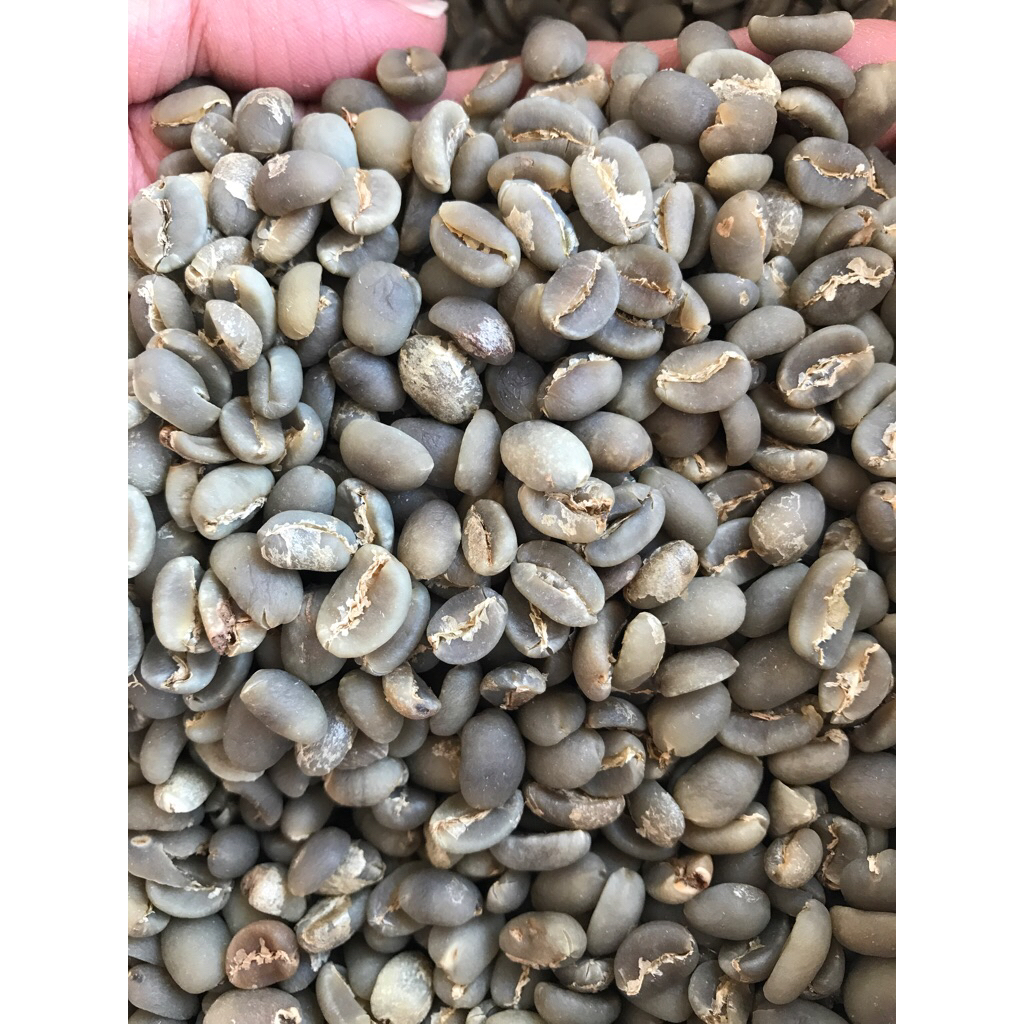 

Green Bean Arabika Mamasa SW G1