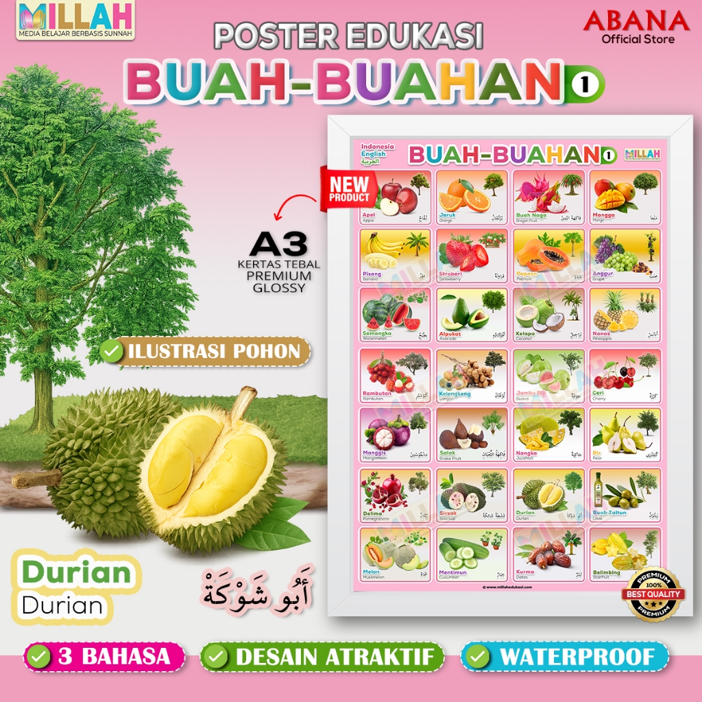 Poster Edukasi Buah Buahan Dengan Ilustrasi Pohon 3 Bahasa | Premium Glossy Waterproof | Millah Eduk